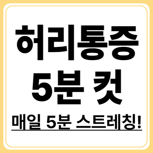 하루 5분! 허리통증 잡는 스트레칭 루틴 총정리