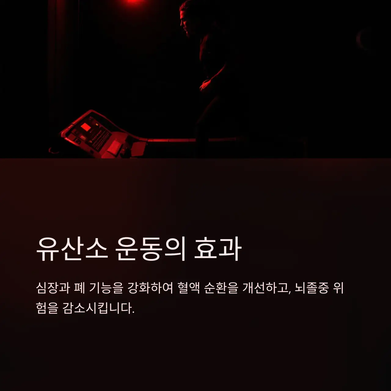 2. 유산소 운동의 주요 이점