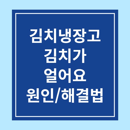 김치냉장고 김치가 얼어요