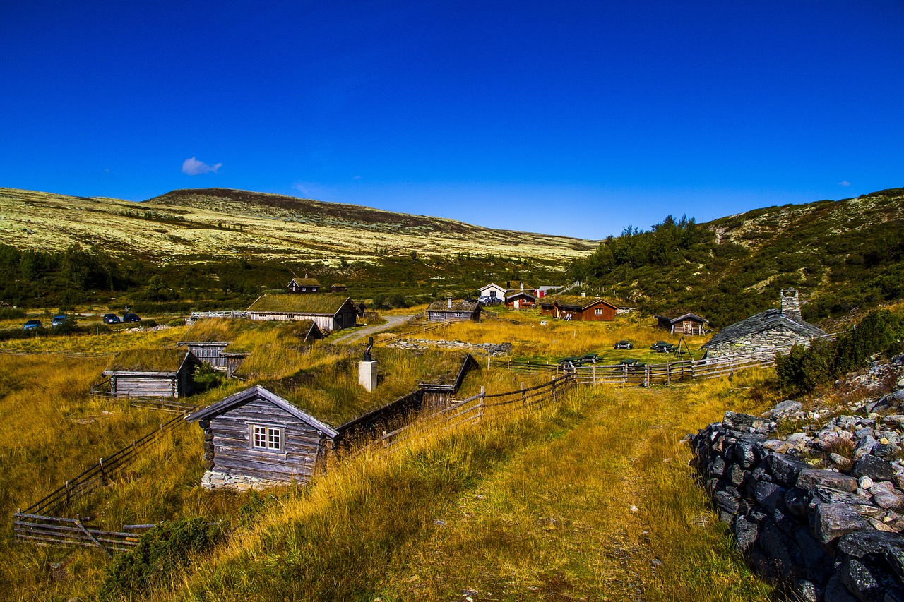 공익직불금 신청방법