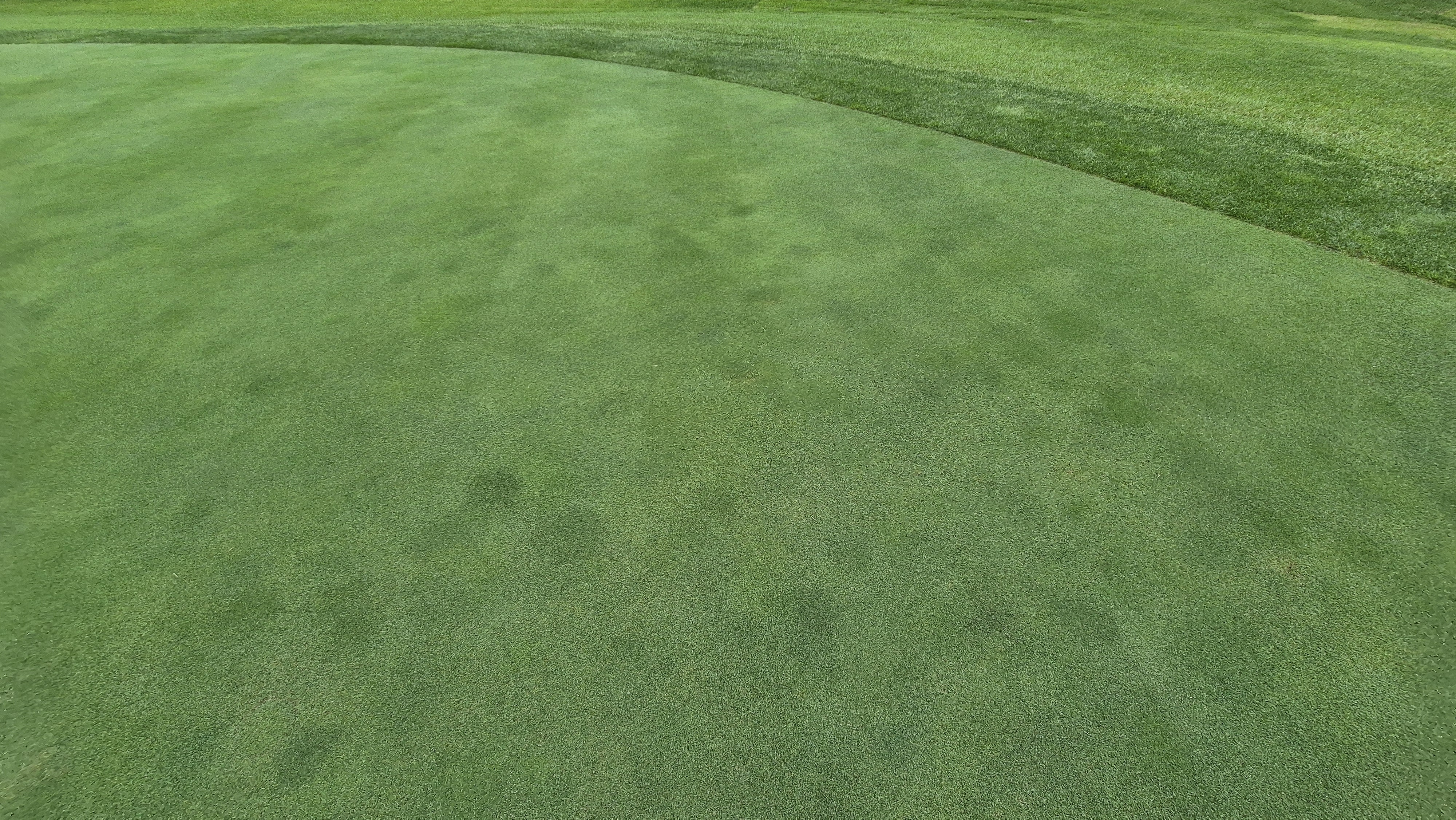 뉴스프링빌cc 라운드 후기