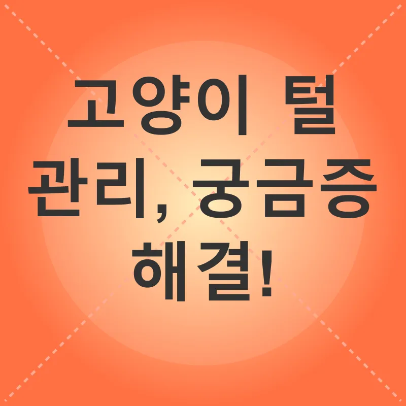 고양이 털 관리_4