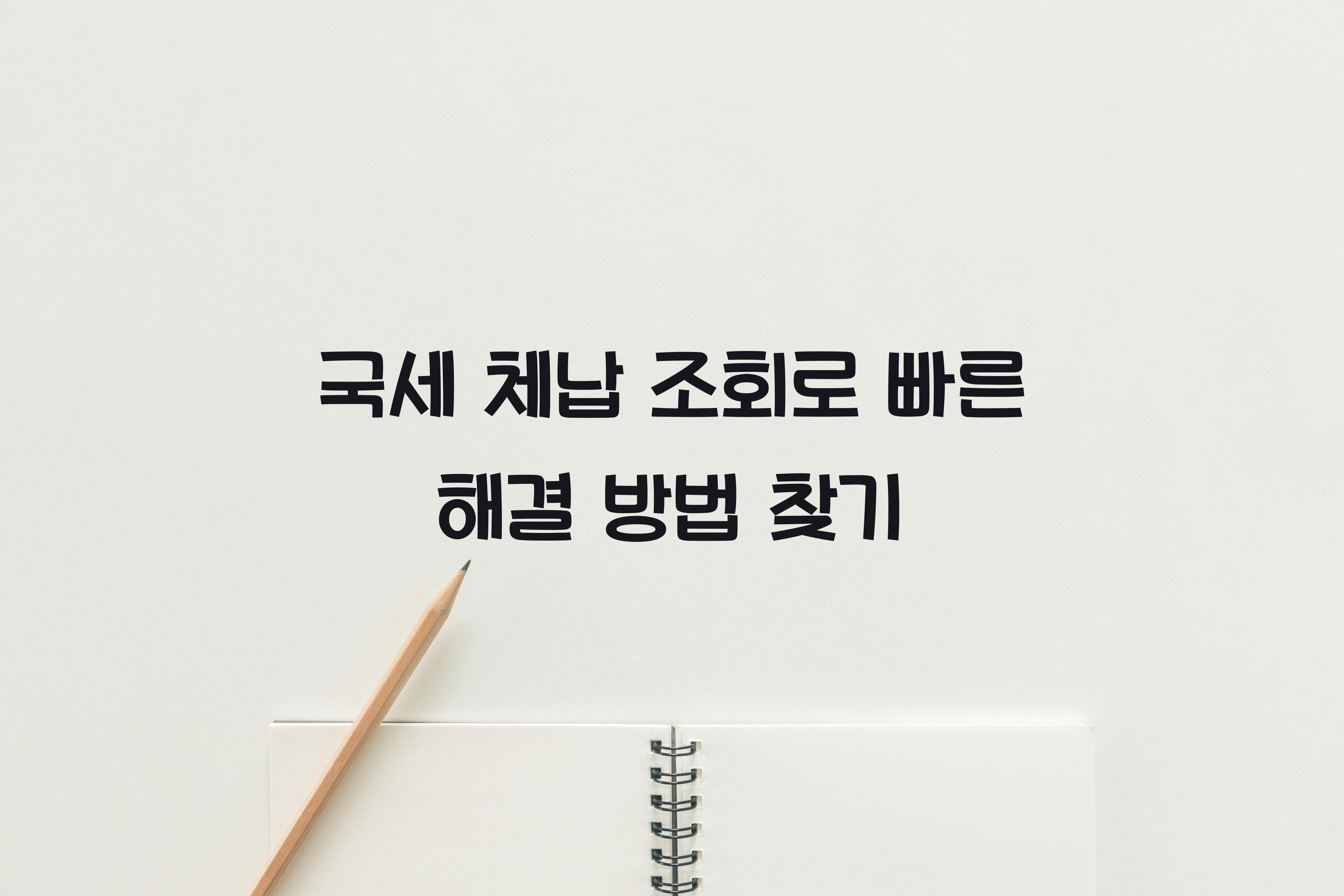 국세 체납 조회