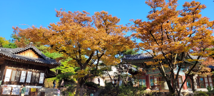길상사 가을 단풍 전경