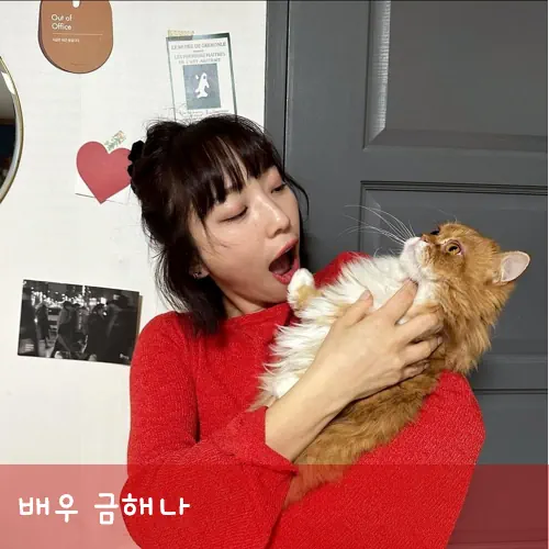 금해나 작품활동