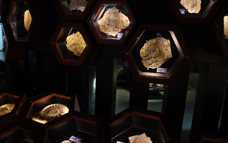 우석헌 자연사박물관