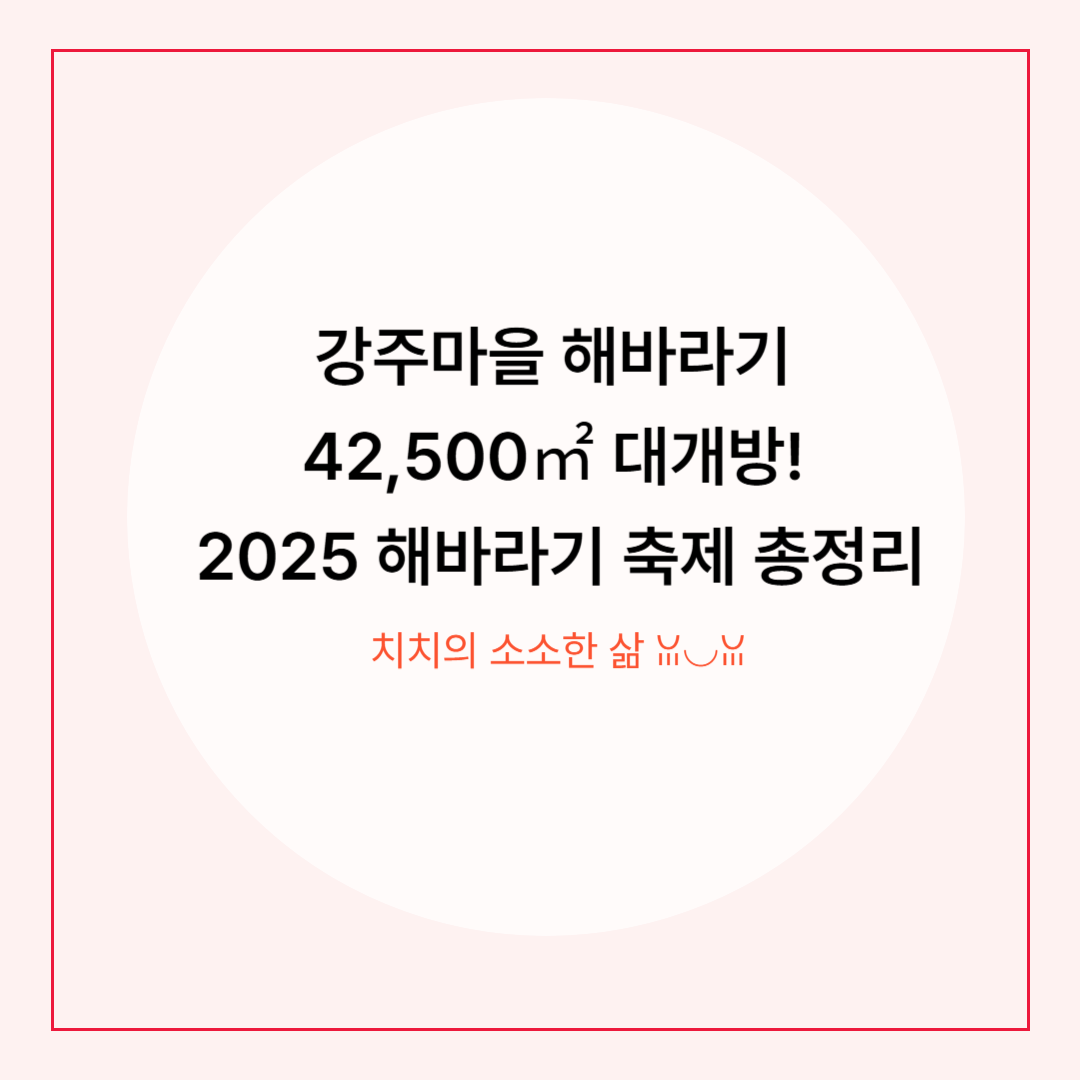 강주해바라기축제 2025, 햇살 아래 펼쳐지는 노란 감동
