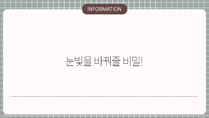 속눈썹 영양제 추천