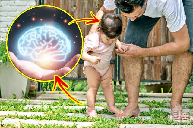 맨발걷기 효능 면역력 오감발달 맨발걷기의기적