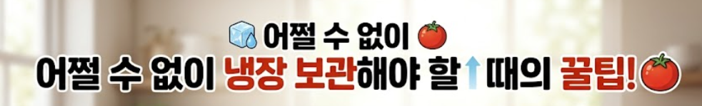 토마토 보관방법