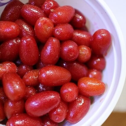 보리수-열매-사진