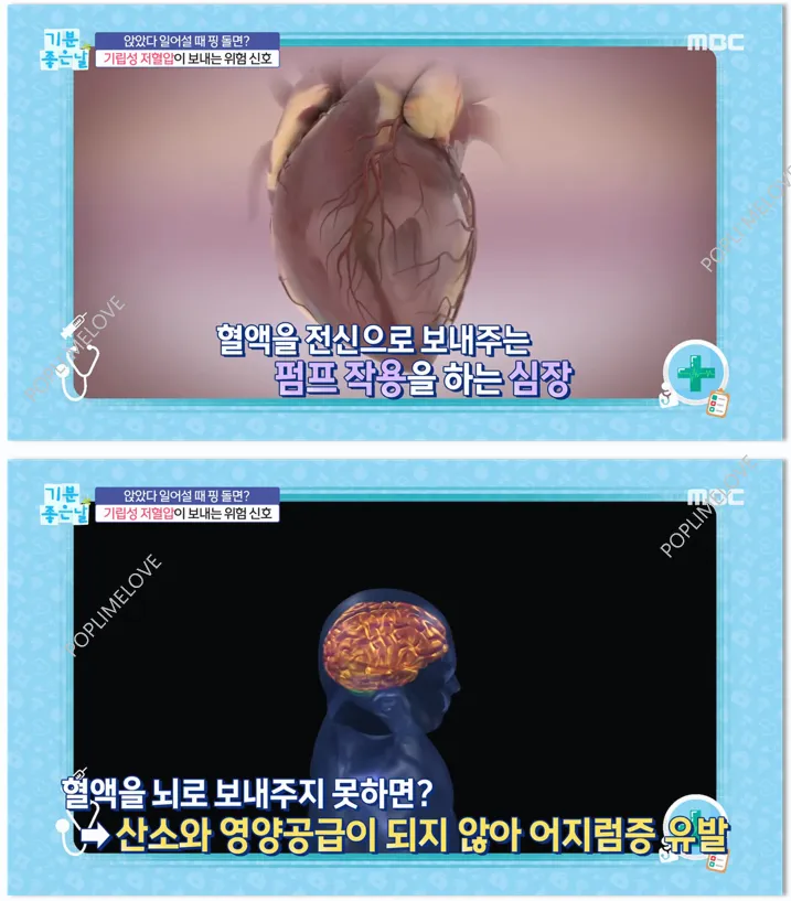 증상과 원인