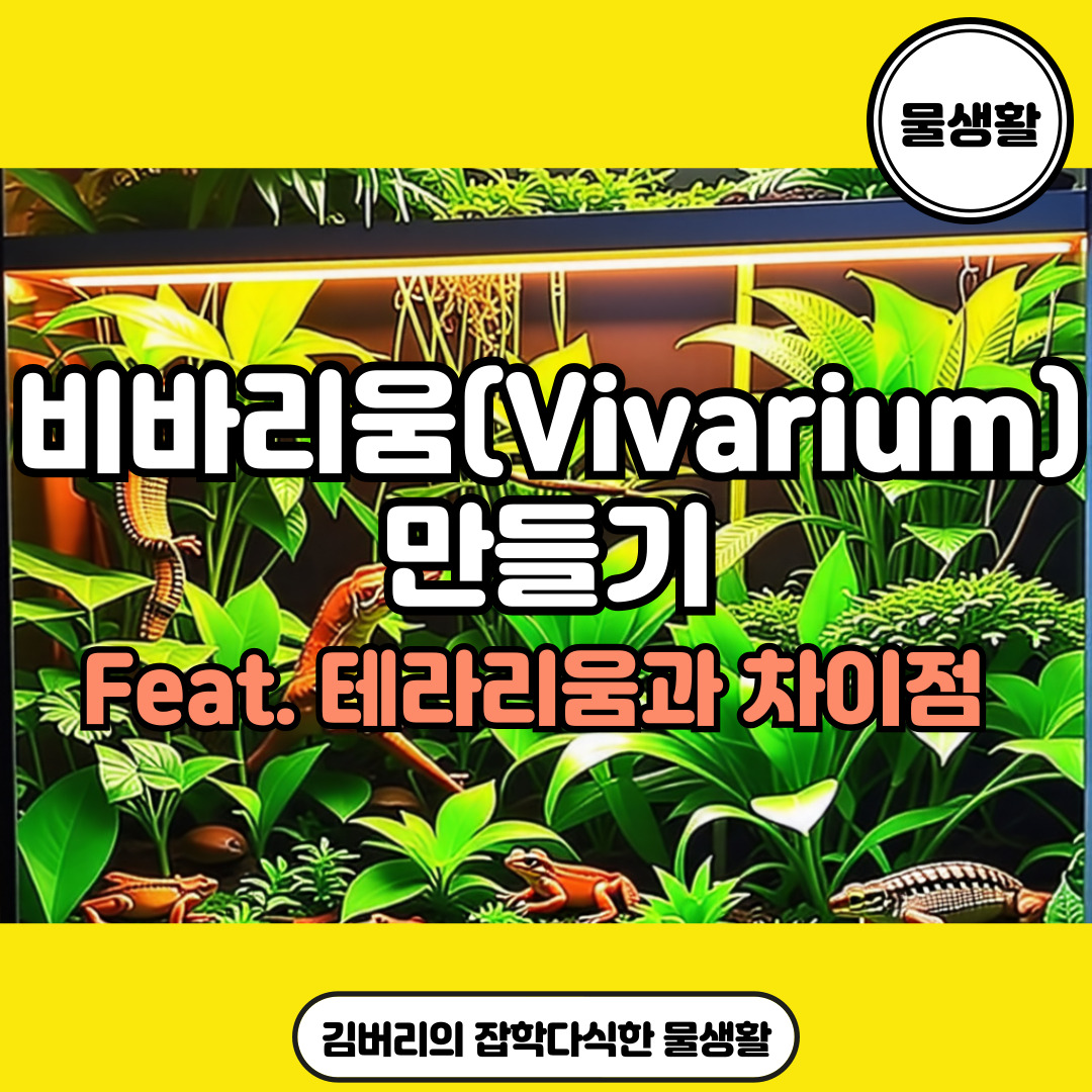 비바리움 만들기