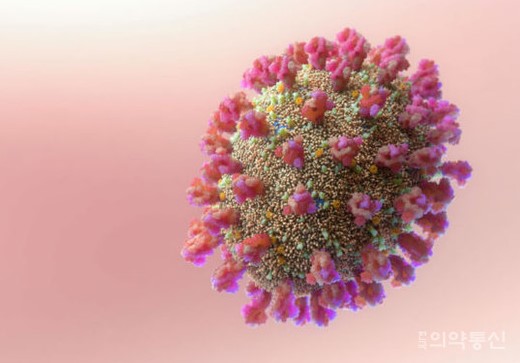 코로나 재감염 기간