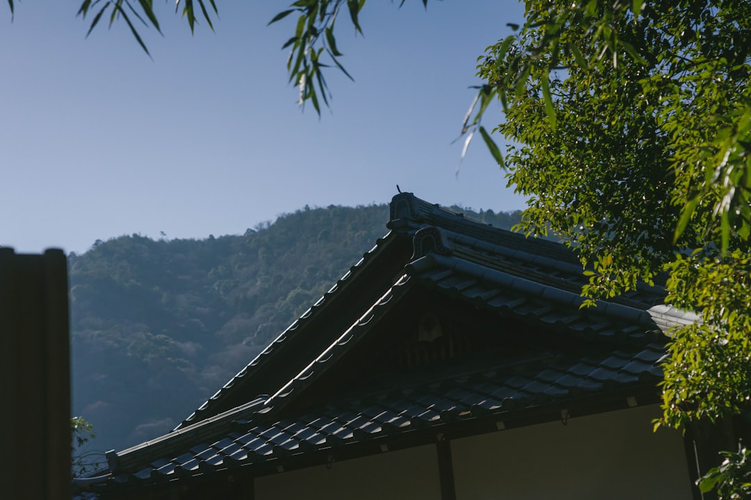 Nak-hwa-nori