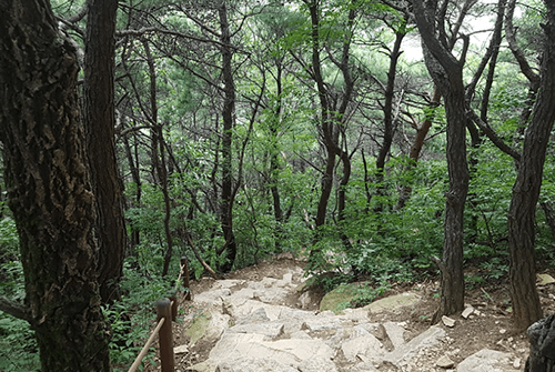 수통골07