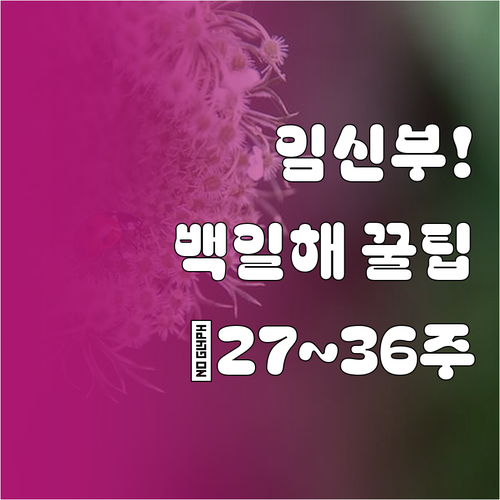 임신부 백일해 접종 임신 27주에서 ..