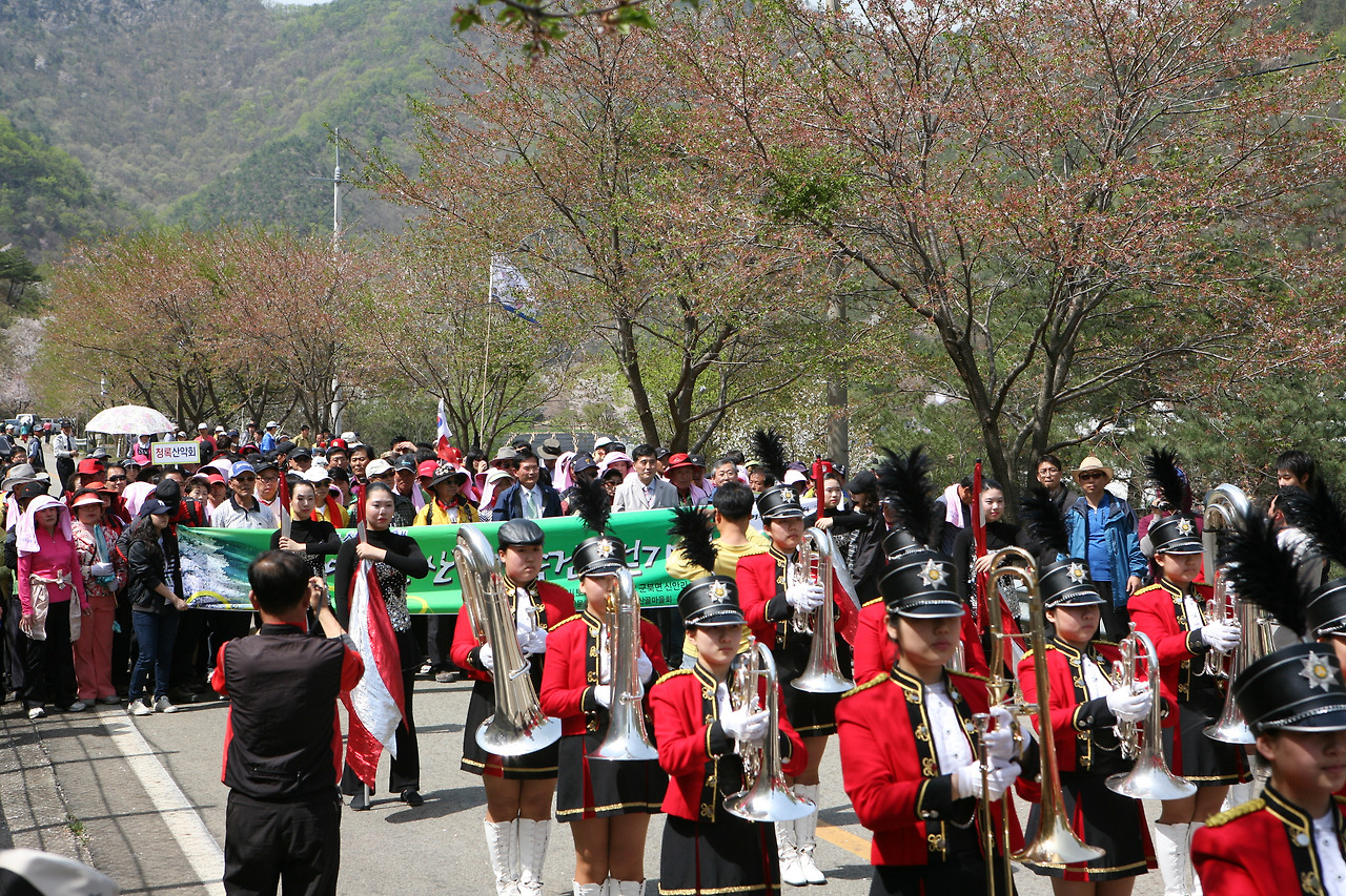 2025 금산 보곡산골 산벚꽃축제 일정 맛집 주차 꿀팁 정리