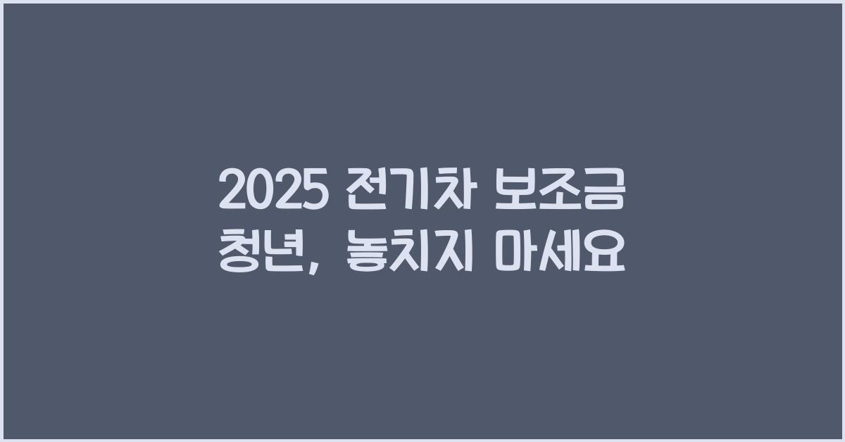 2025 전기차 보조금 청년