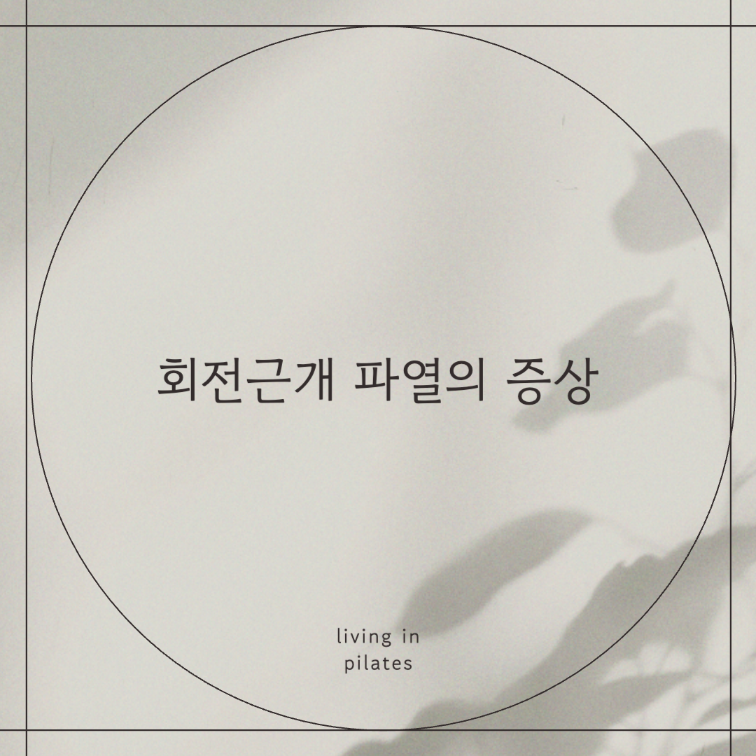 회전근개 파열의 증상