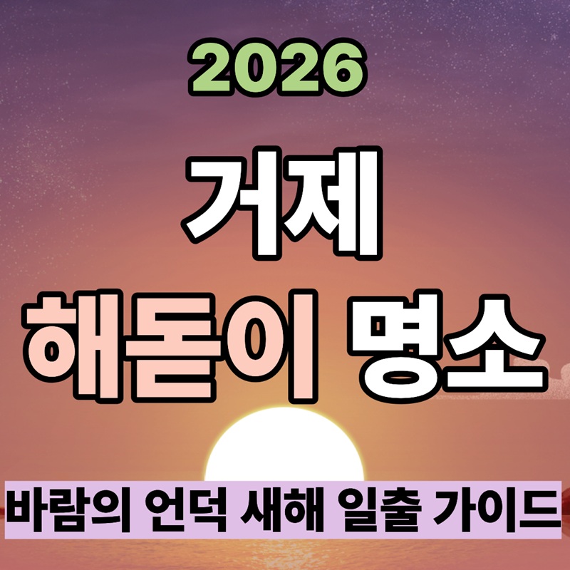 2026 거제 해돋이 명소|바람의 언덕 새해 일출 가이드