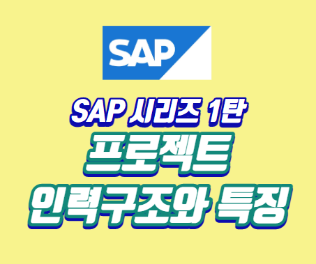 SAP-시리즈-1탄-프로젝트-인력구조와-특징