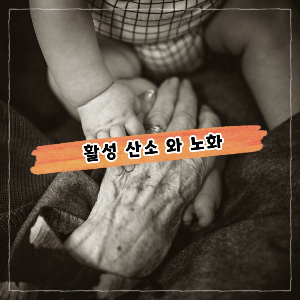 숨만 쉬어도 쌓이는 활성 산소, 노화까지 부른다 ( 원인, 증상 )