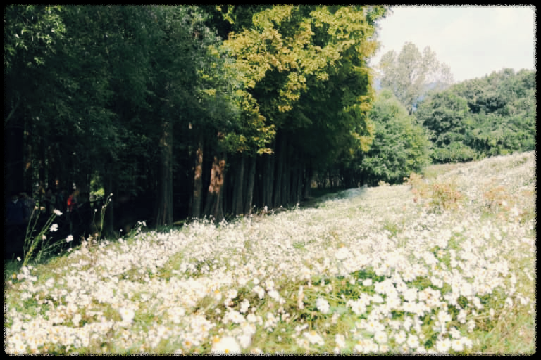 광주호 호수생태원