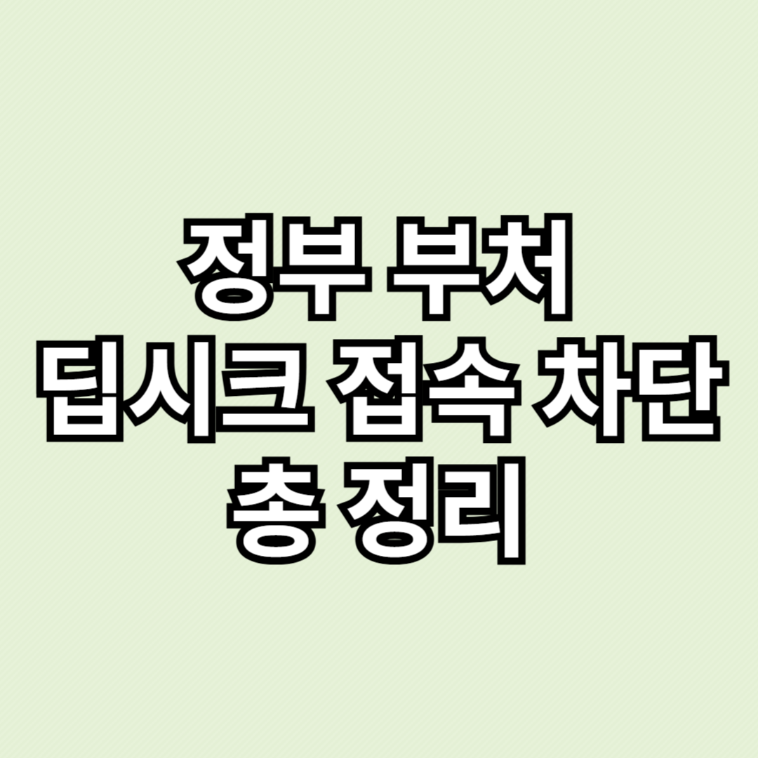 딥시크 차단