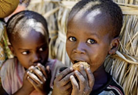 위험한 열매를 먹는 아이들