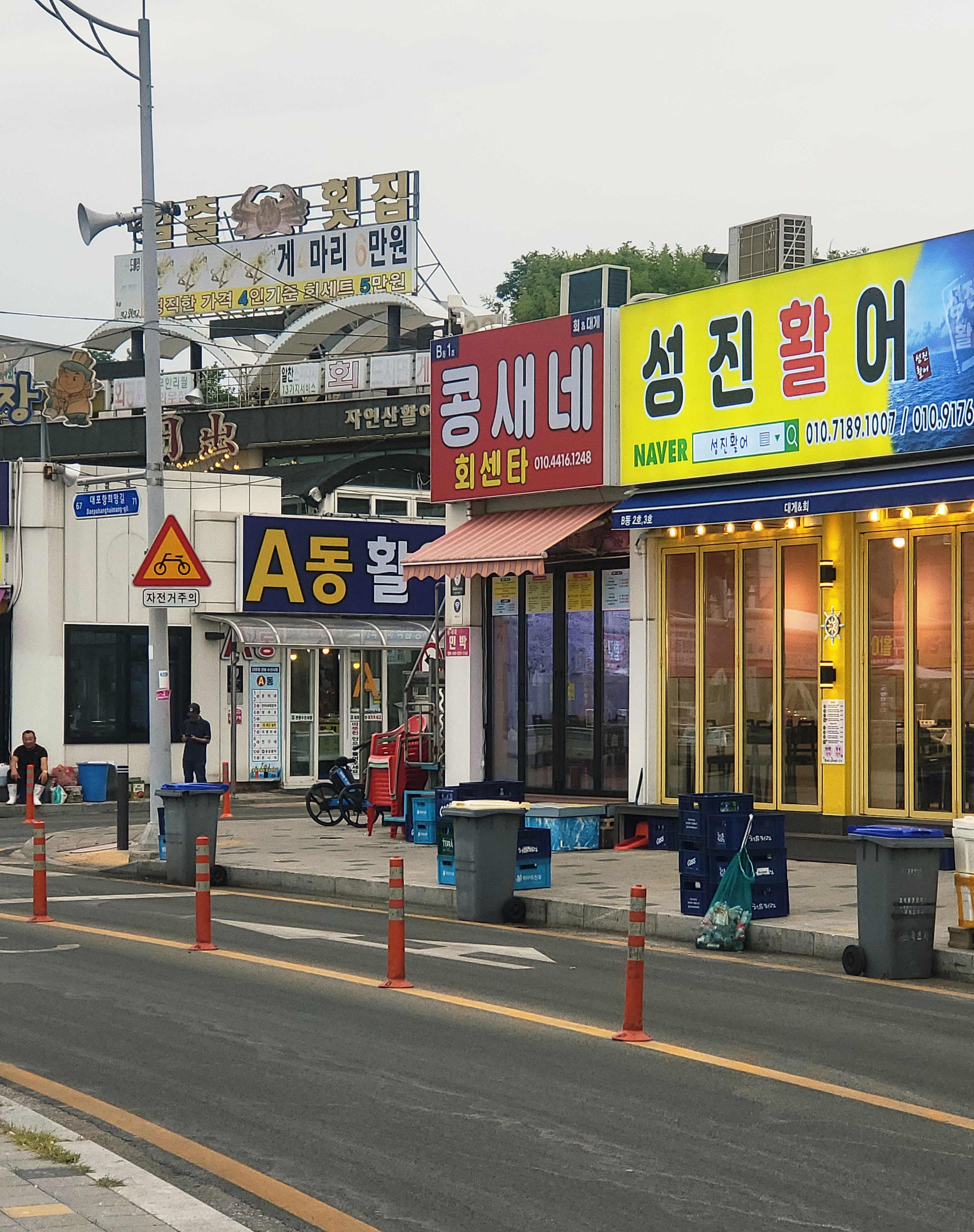 대포항 콩새네1