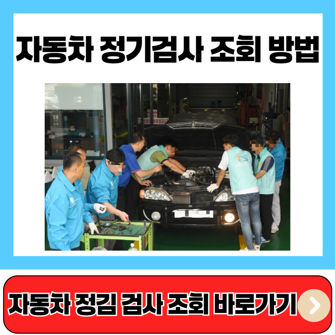 자동차 정기검사 조회