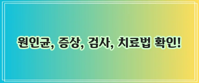 장티푸스 원인 증상 검사 치료 핵심 정리해야 합니다