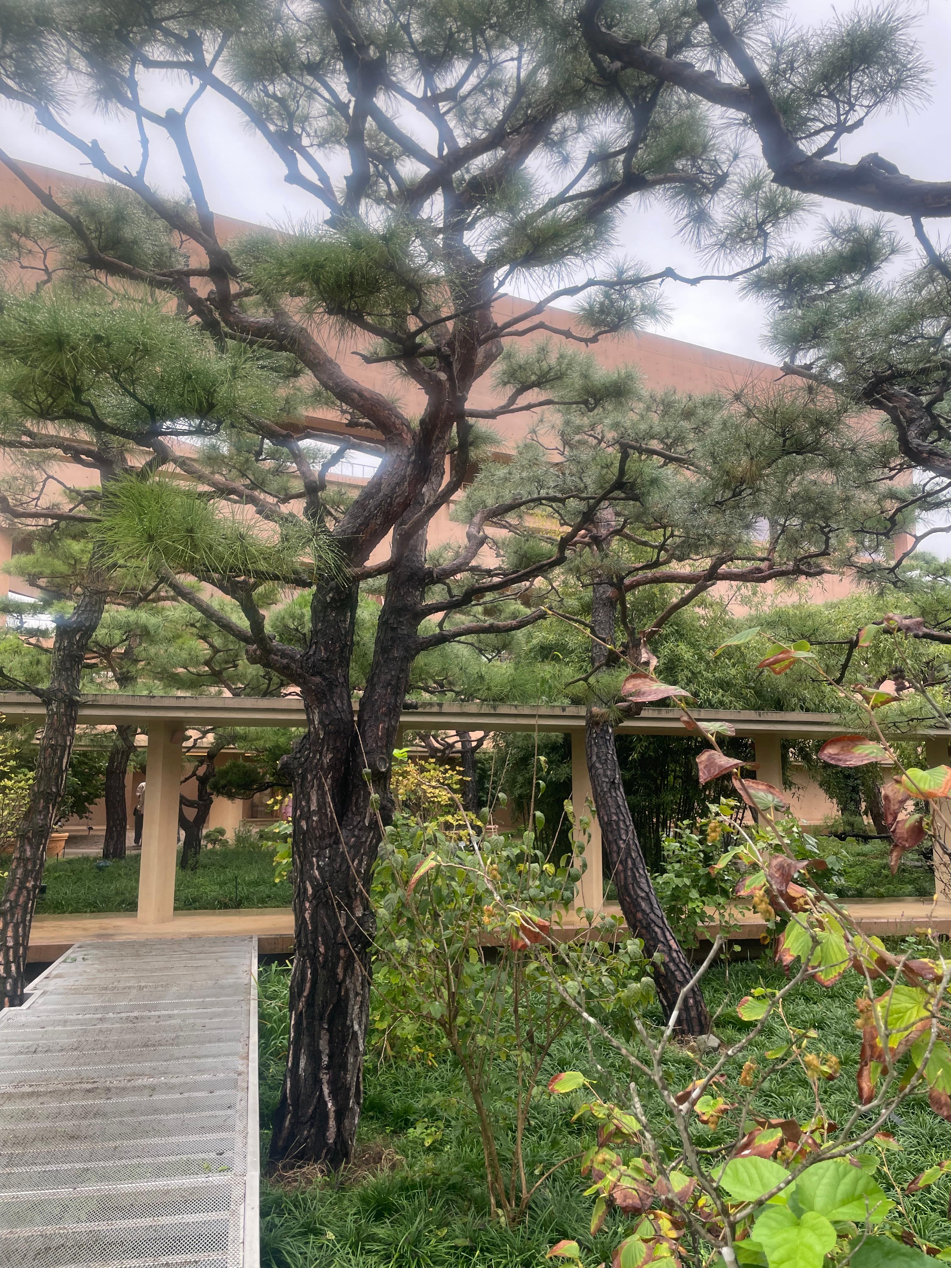 팔공산 대형카페 파이퍼 베이커리