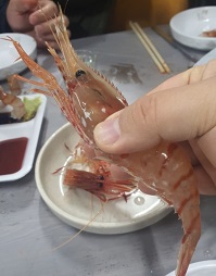 독도새우