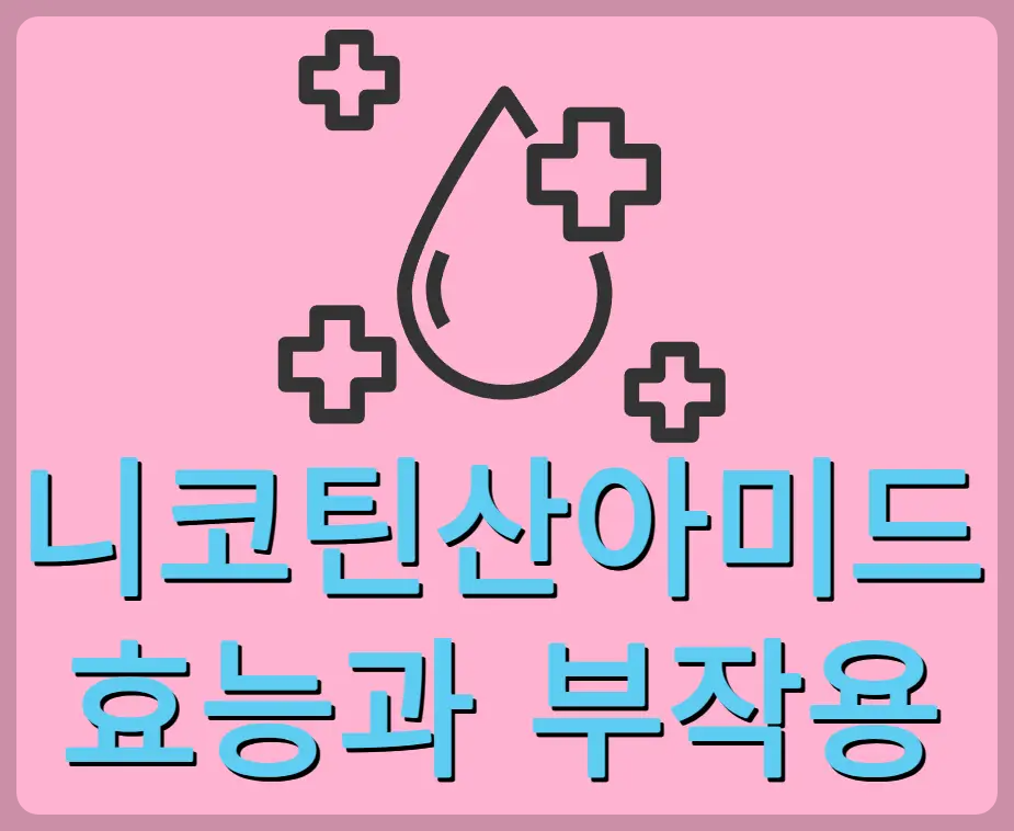 니코틴산아미드 효능과 부작용