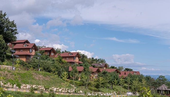 국립산림치유원 이용 가이드|프로그램·운영시간·이용 방법 정리