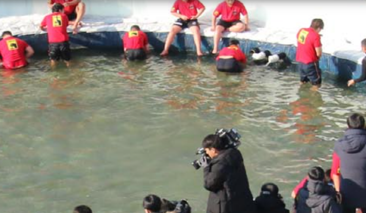 화천 산천어축제