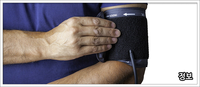 동맥경화도-검사