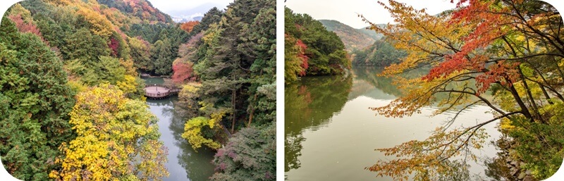 부산-어린이대공원-성지곡-수원지-단풍-명소