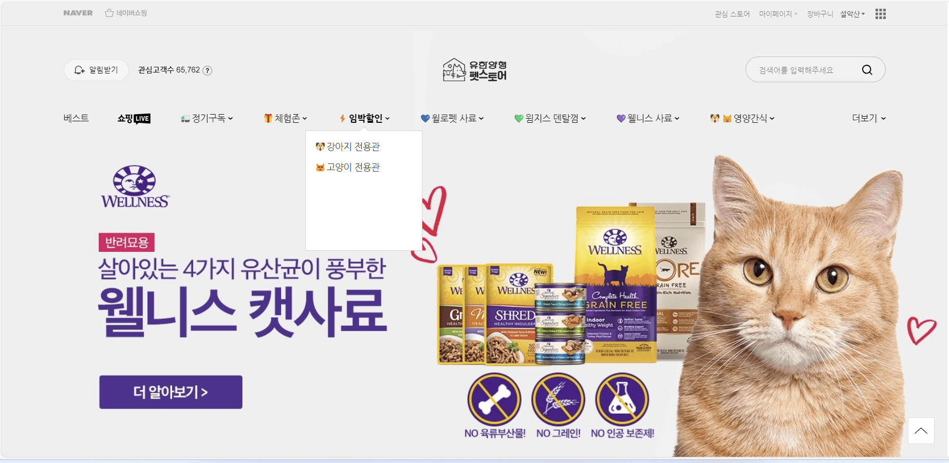 웰니스