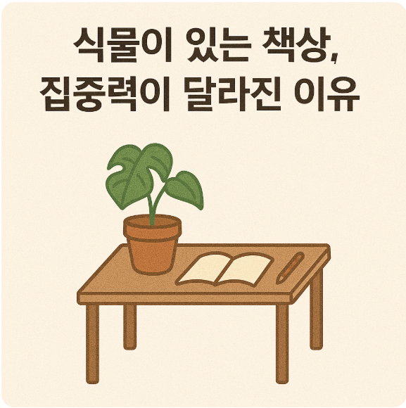 책상 위 화분 식물이 집중력 향상에 도움이 되는 이유