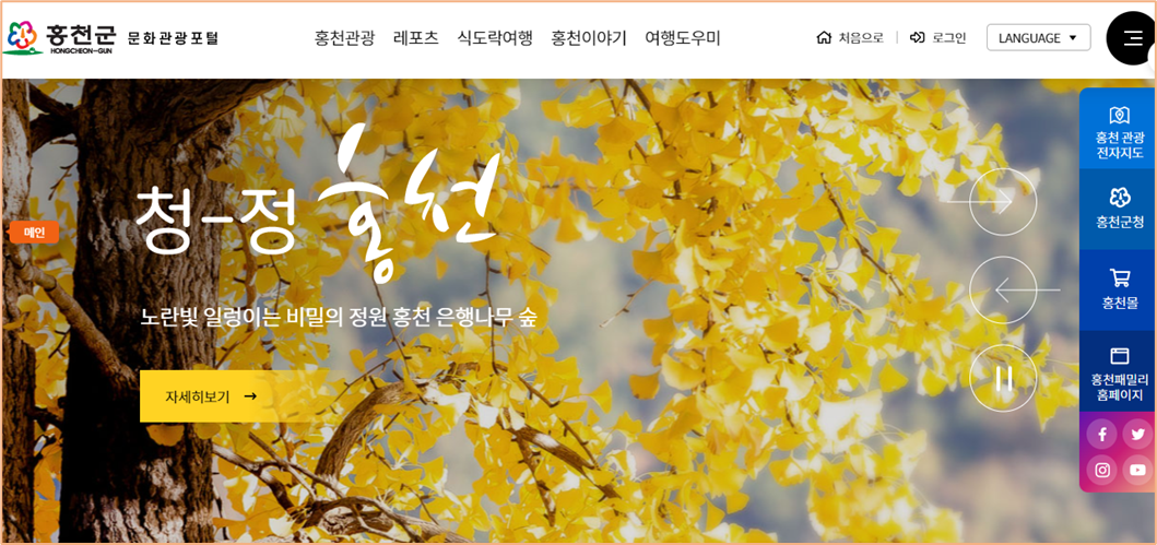 홍천 은행나무숲