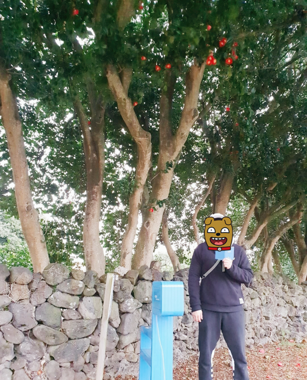 제주올레5코스