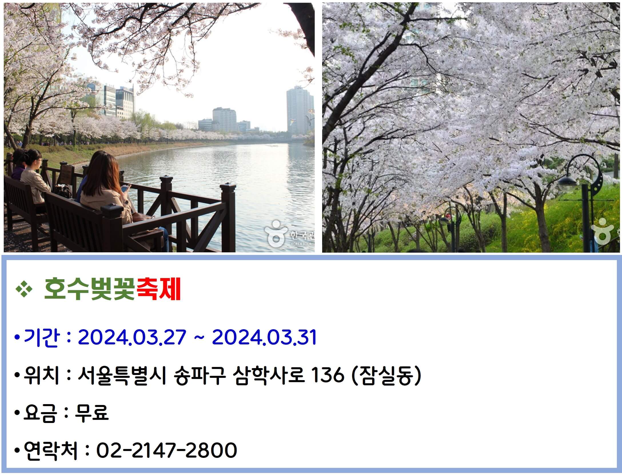 호수벚꽃축제