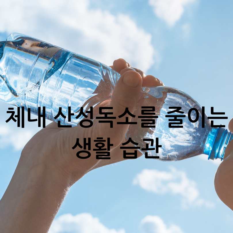 산성 독소가 노화와 체중에 끼치는 악영향