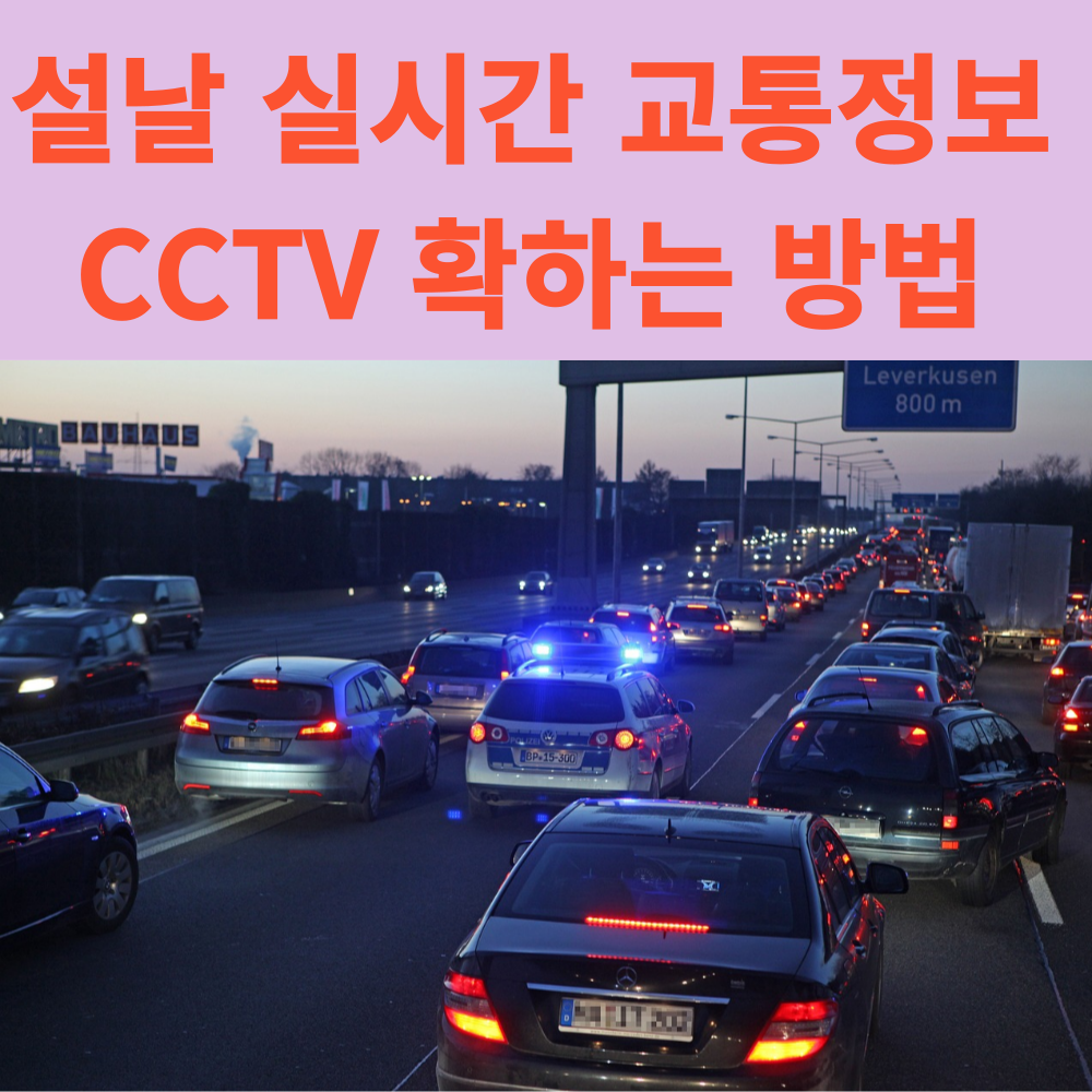 설날 실시간 교통정보 확인 CCTV 활용하기