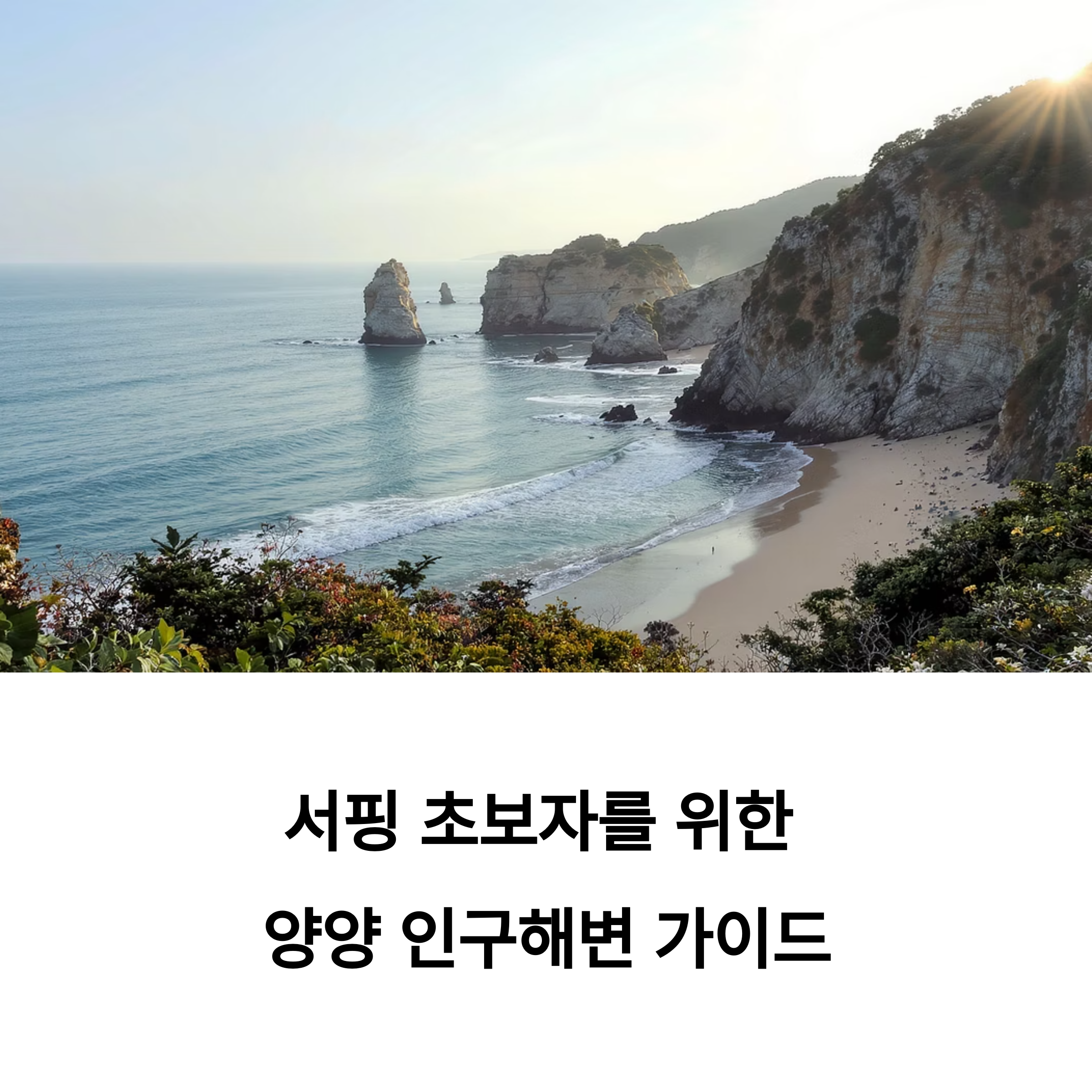 양양 인구해변 서핑 완전 정복