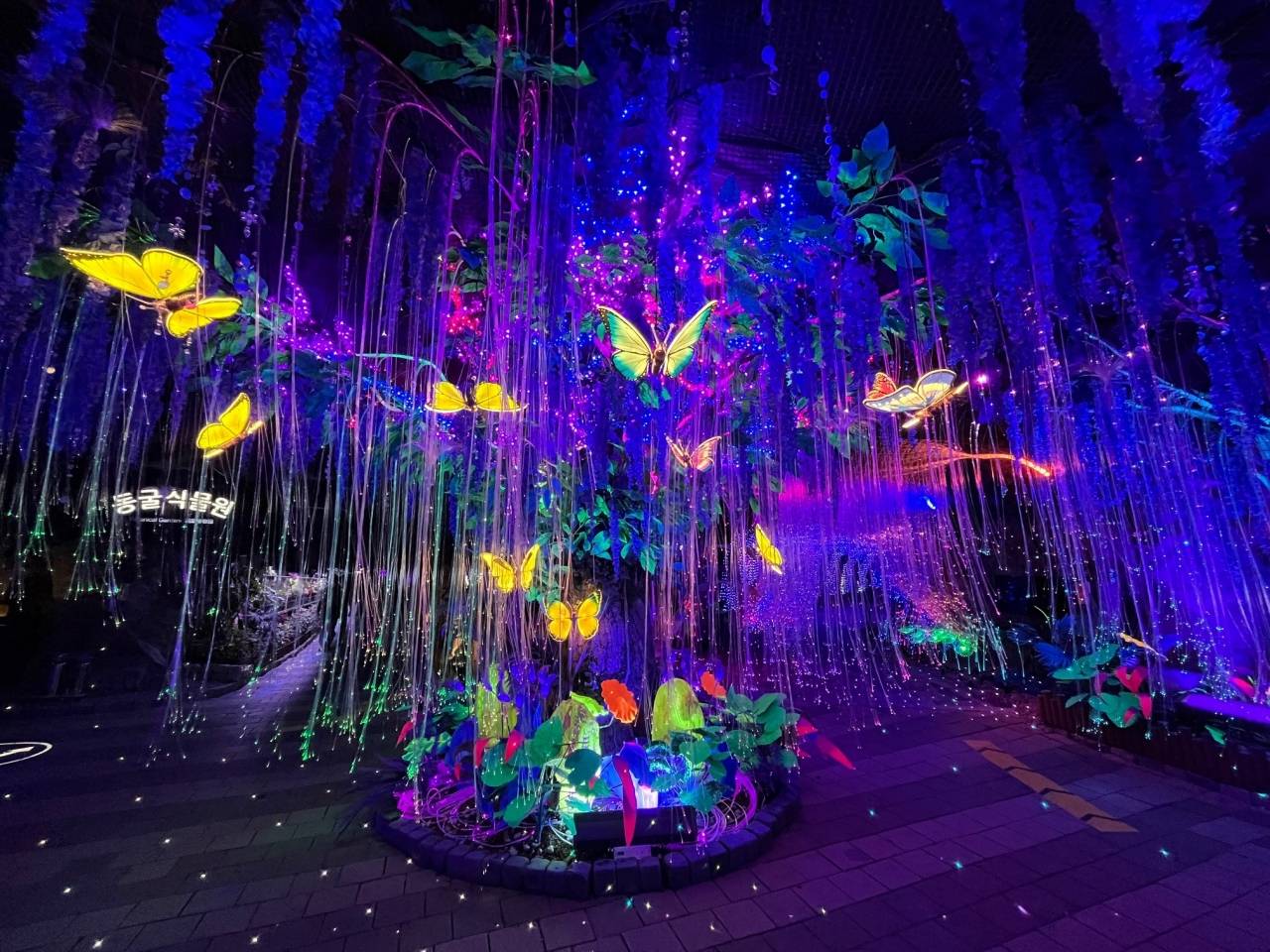 광명동굴 빛축제 사진