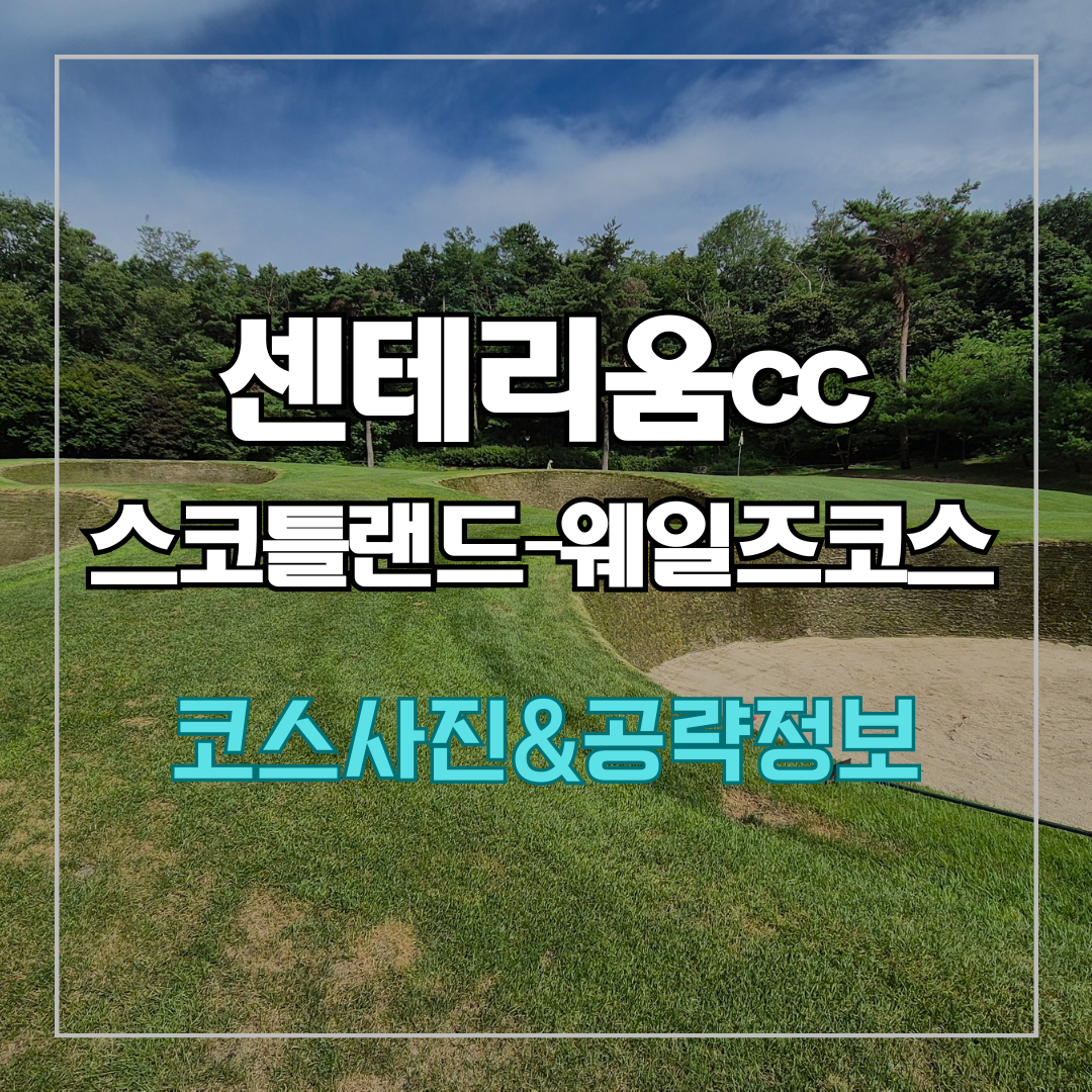 센테리움cc 스코틀랜드-웨일즈 코스 사진 및 공략 정보